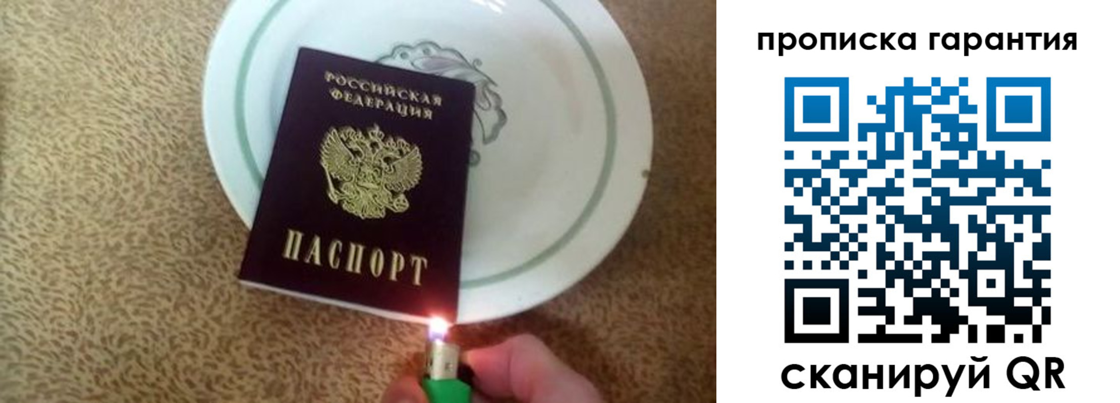 прописка штамп в Димитровграде